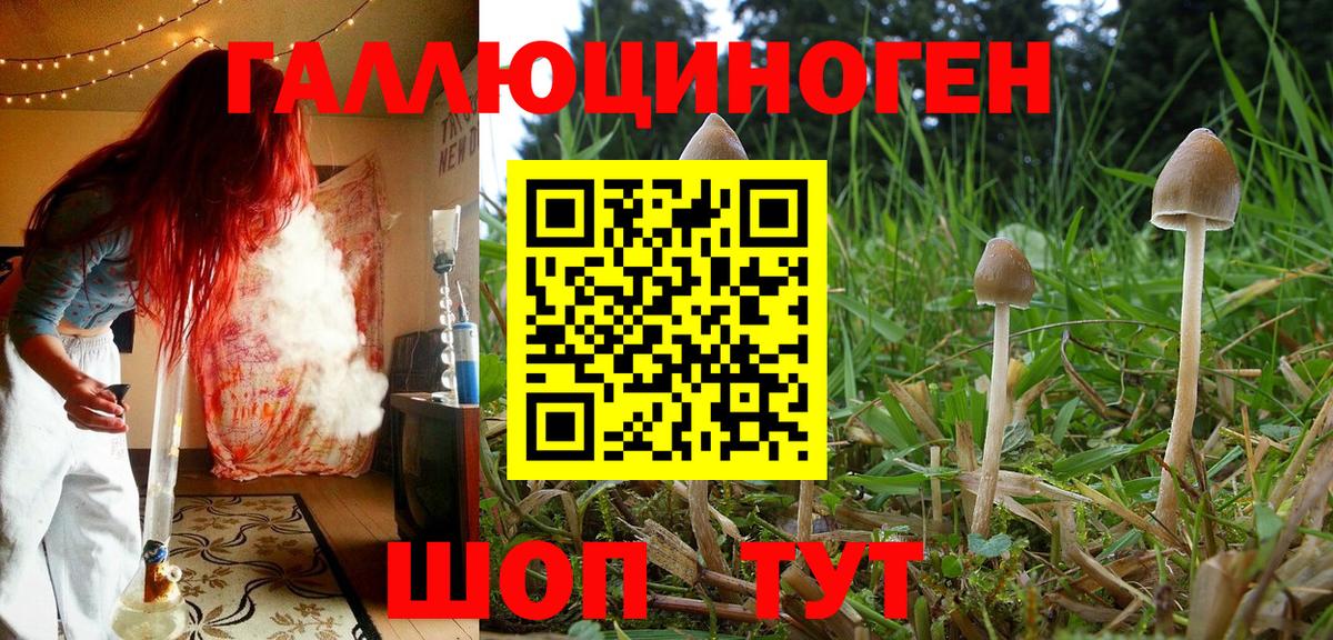 Чебоксары  Галлюциногенные грибы MAGIC MUSHROOMS  Вход с VPN 